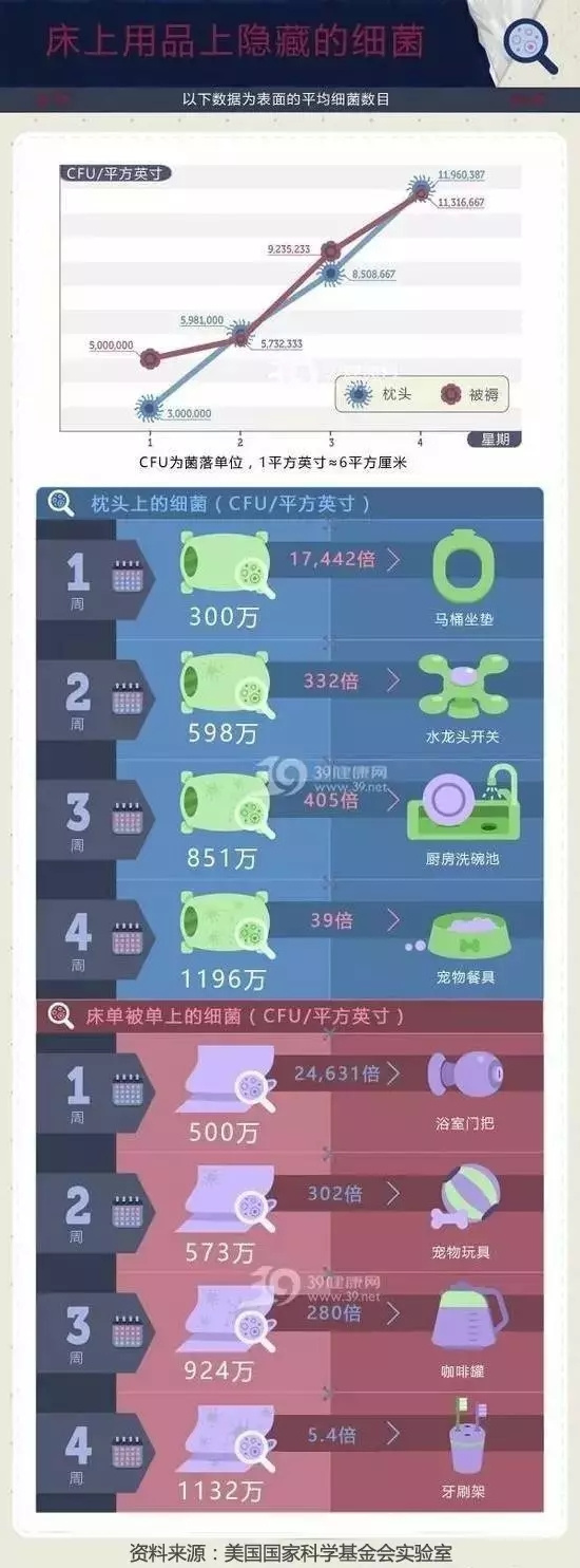 beizi.webp.jpg
