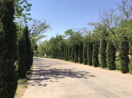 ΢��ͼƬ_20170502183927.jpg