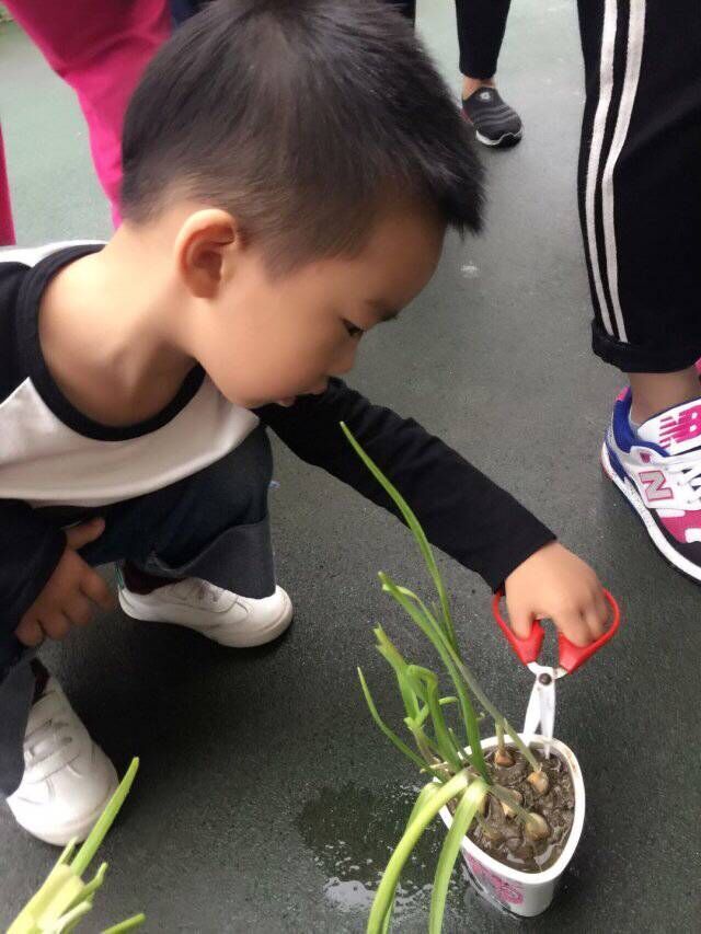 QQ图片20171030193159.jpg