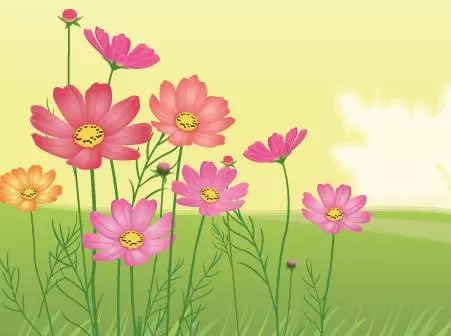 640.webp.jpg undefined