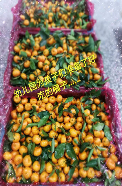 clip_image010.jpg 微信图片_20171229134300