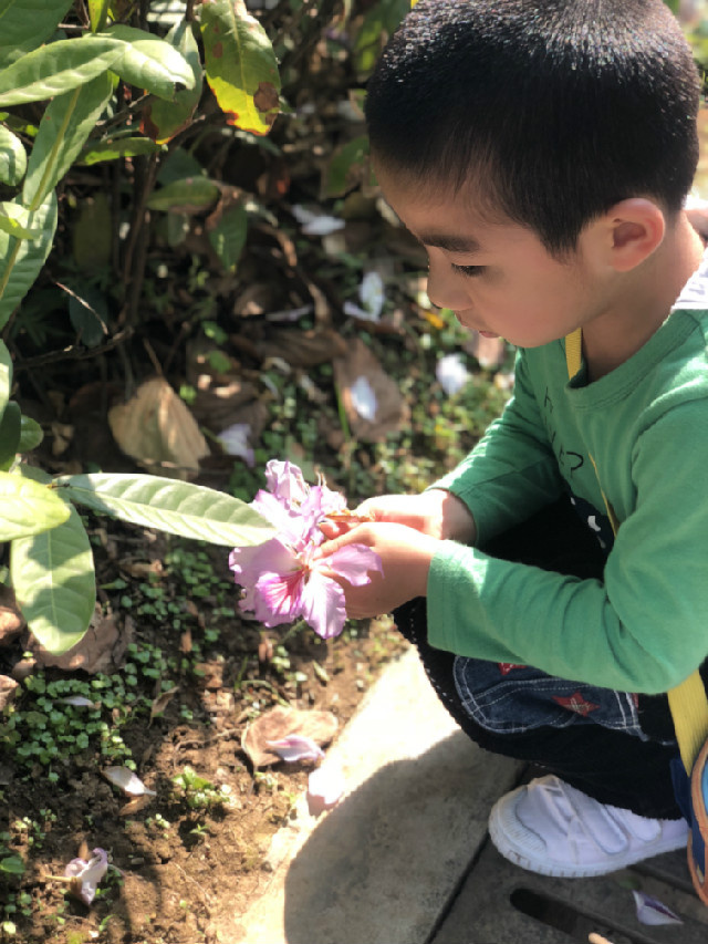 微信图片_20180403122130.jpg
