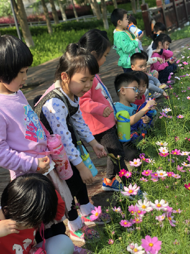 微信图片_20180403122119.jpg