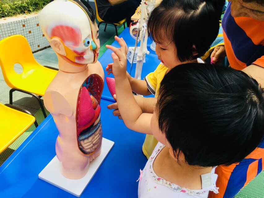 TIM图片20180711192905.jpg