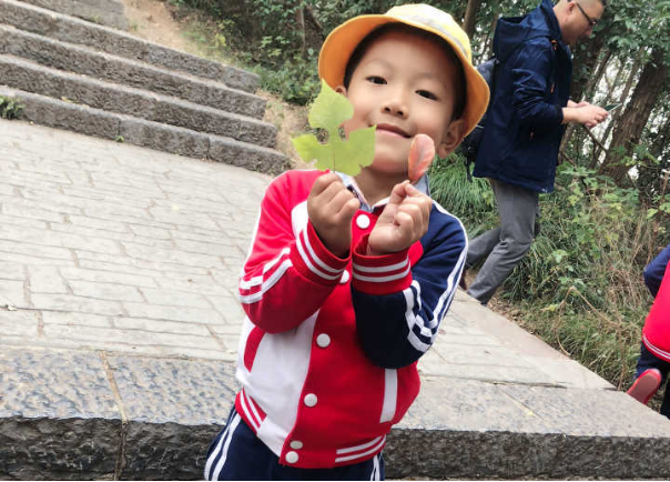 图片1.png 图片1.png