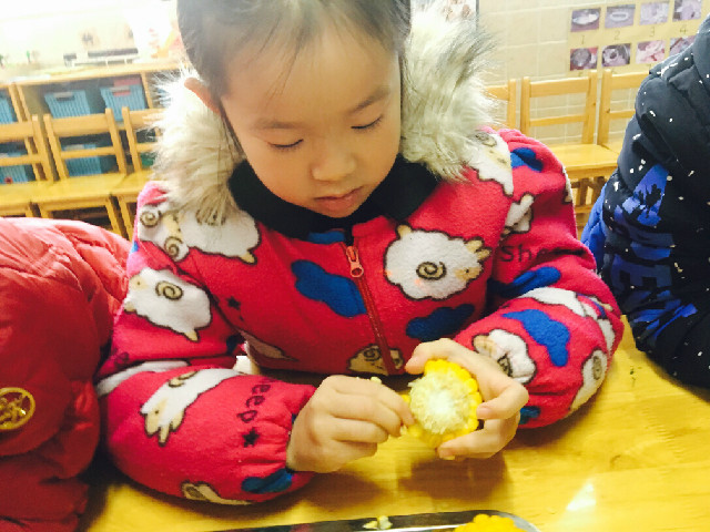 QQ图片20181229121808.jpg