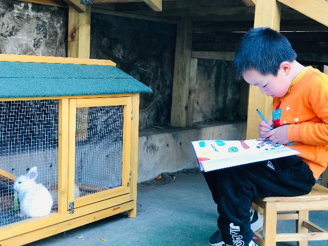 新建文件夹 (2)IMG_1982.JPG