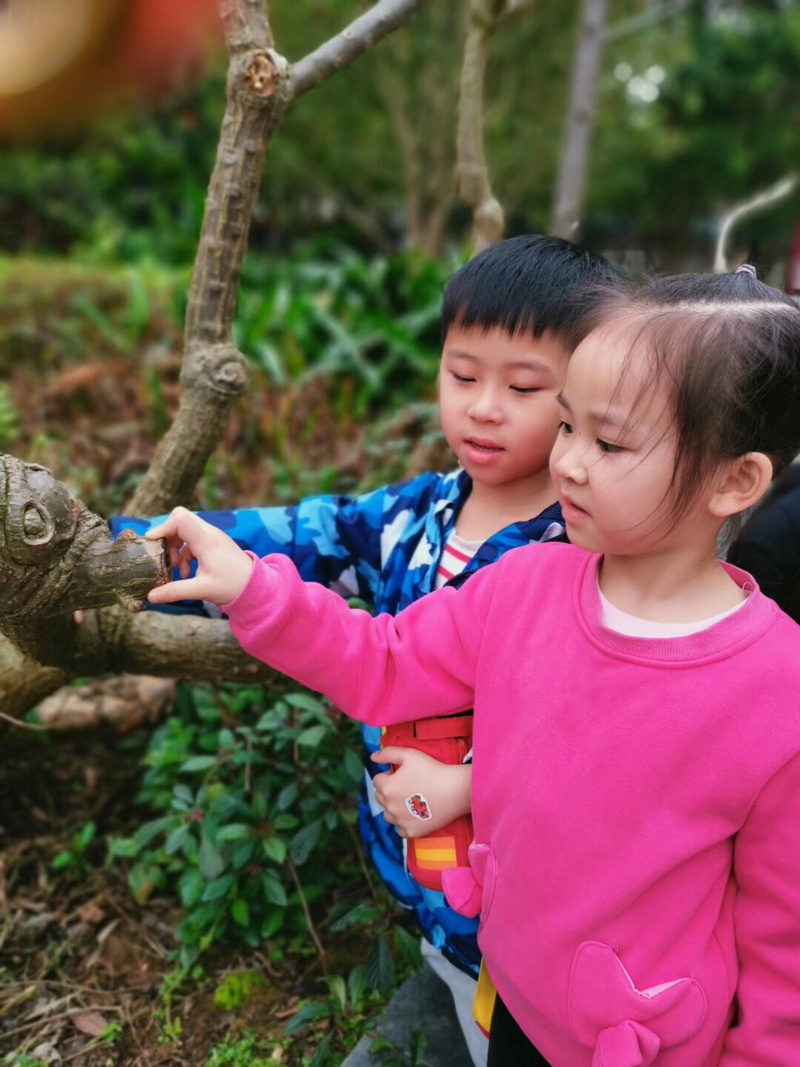 微信图片_20190329151747.jpg 微信图片_20190329151747.jpg