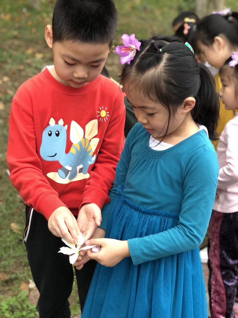 微信图片_201903291517474.jpg 微信图片_201903291517474.jpg