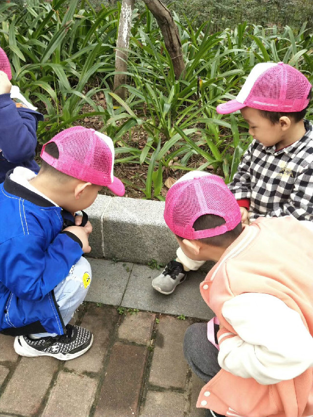 微信图片_201903291504183.jpg