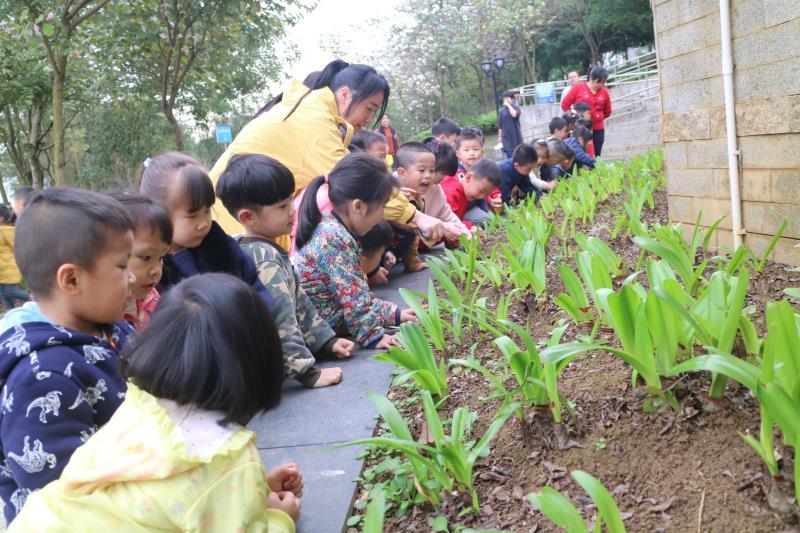 微信图片_201903291507391.jpg 微信图片_201903291507391.jpg