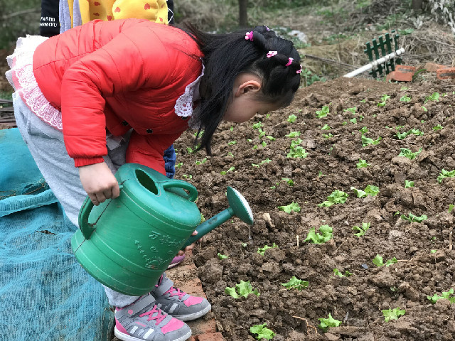 QQ图片20190508172516.jpg