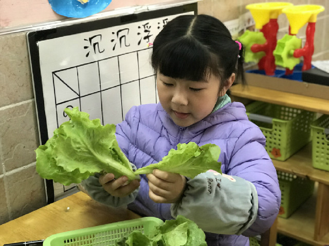 QQ图片20190508172914.jpg