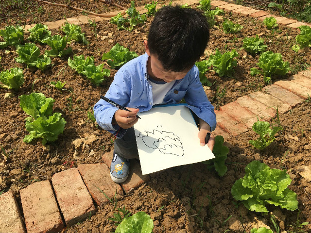 QQ图片20190508172550.jpg