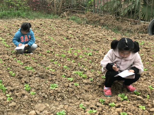 QQ图片20190508172521.jpg