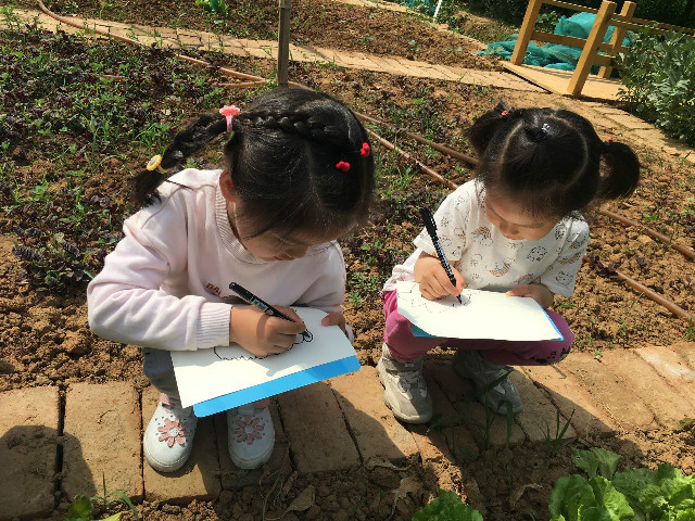 QQ图片20190508172620.jpg