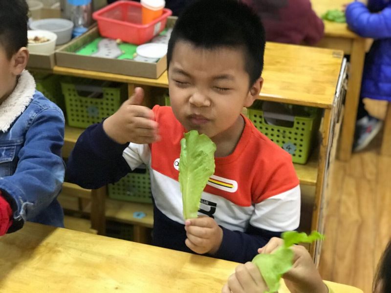 QQ图片20190508173234.jpg QQ图片20190508173234.jpg