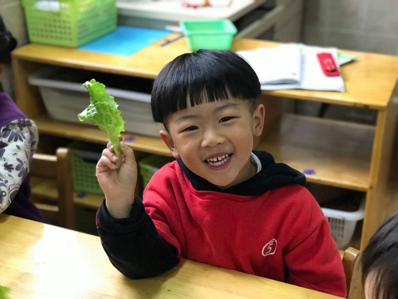 QQ图片20190508172607.jpg QQ图片20190508172607.jpg
