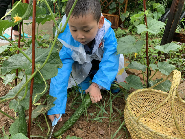 QQ图片20190606092231.jpg