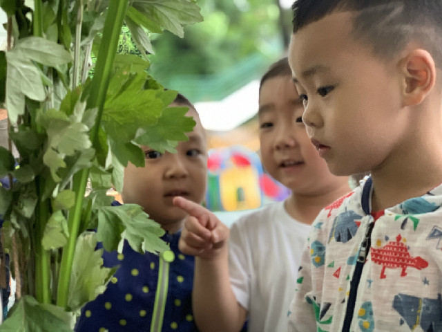 QQ图片20190606094409.jpg