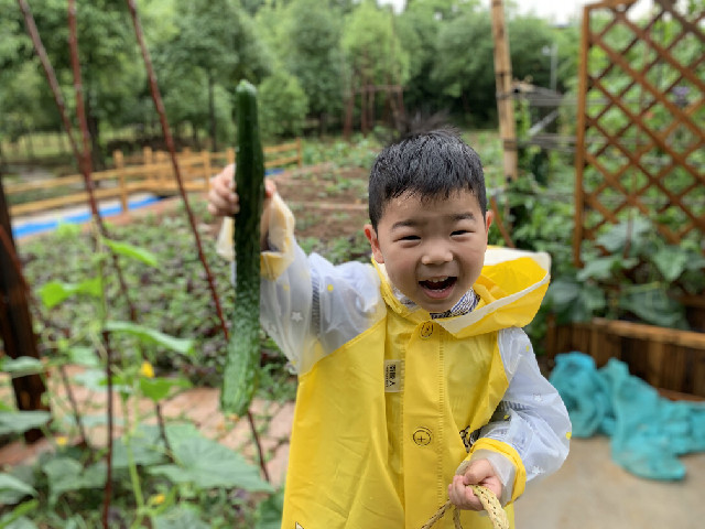 QQ图片20190606094620.jpg