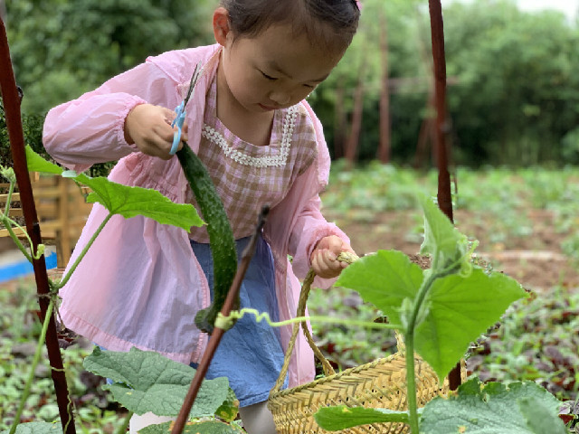 QQ图片20190606092212.jpg