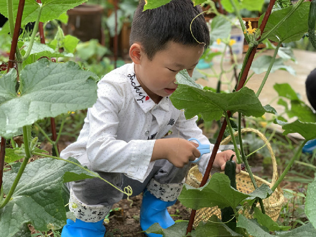 QQ图片20190606094357.jpg
