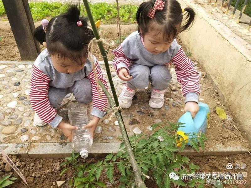 微信图片_20210522192341.jpg