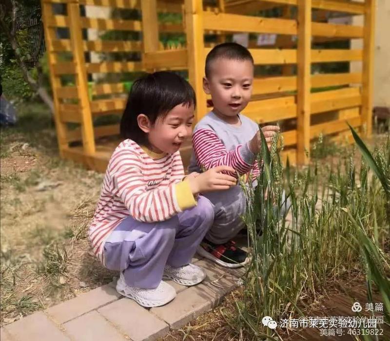 微信图片_20210522192225.jpg