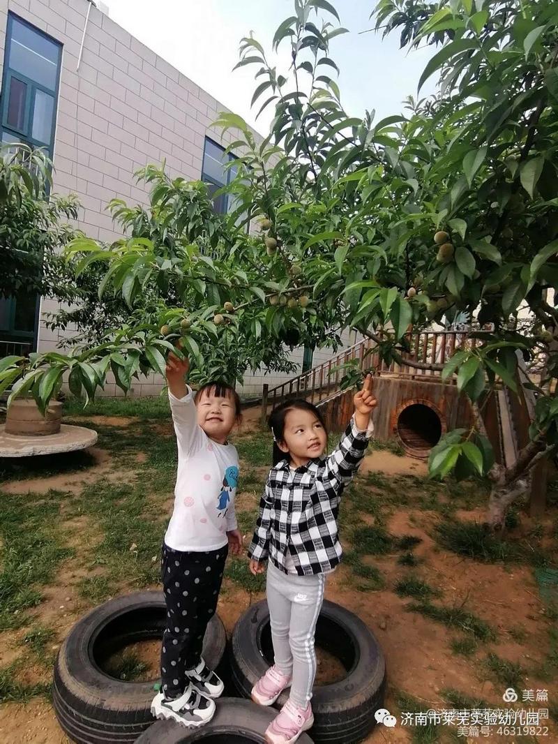 微信图片_20210522192242.jpg