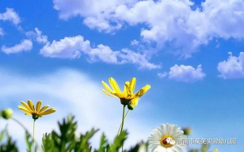 ΢��ͼƬ_20210522191235.jpg