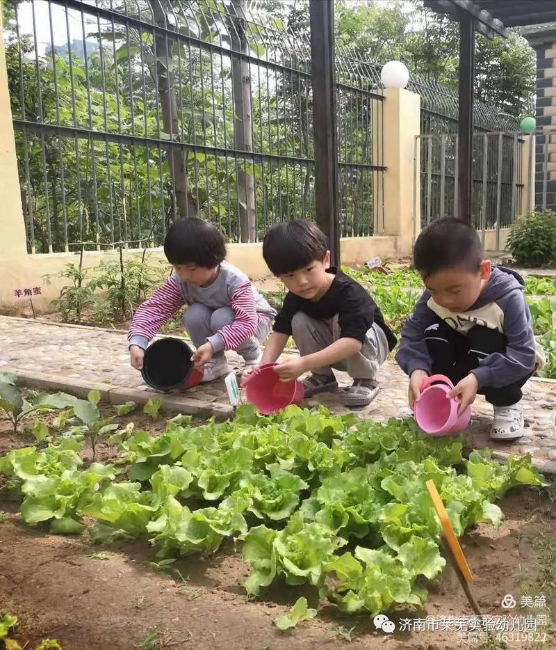 微信图片_20210522192344.jpg