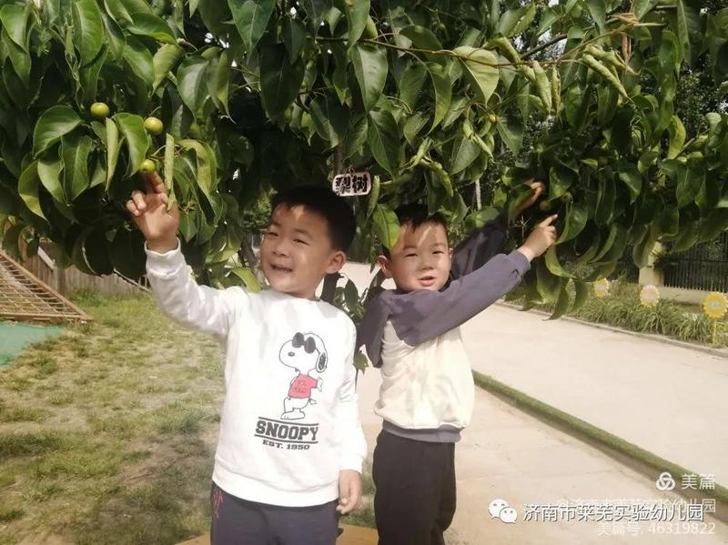 微信图片_20210522192248.jpg