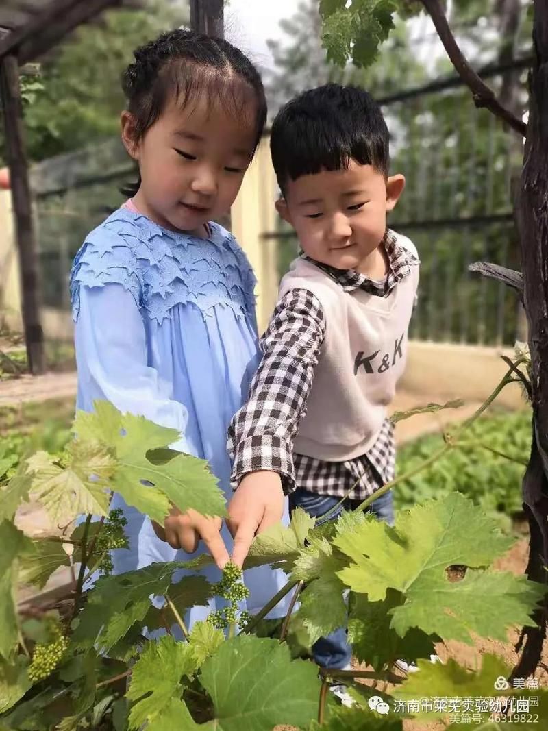 微信图片_20210522192245.jpg