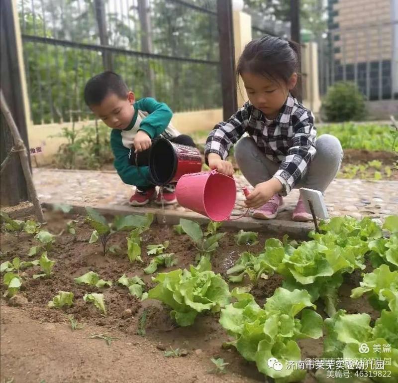 微信图片_20210522192347.jpg