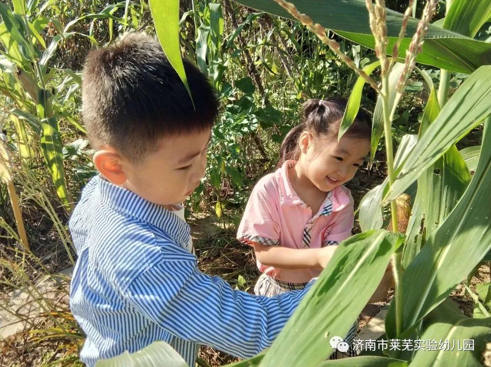 微信图片_20210908075146.jpg