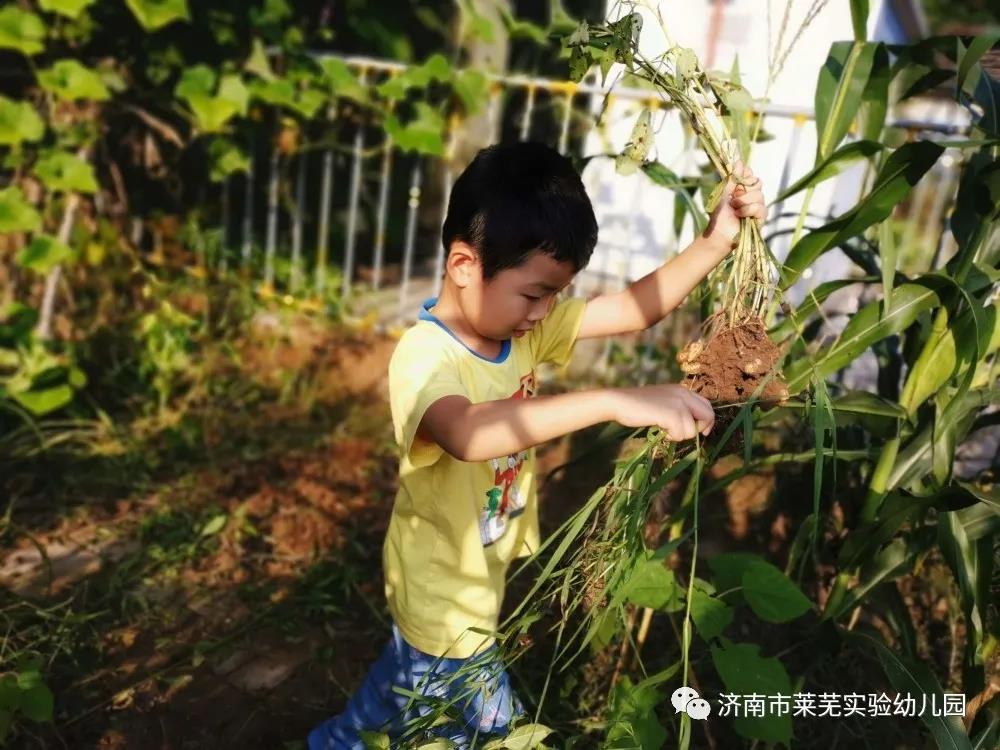 微信图片_20210908075206.jpg