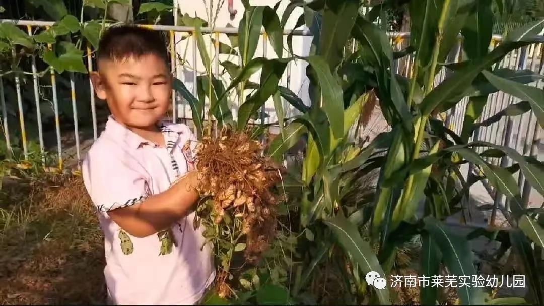 微信图片_20210908075209.jpg