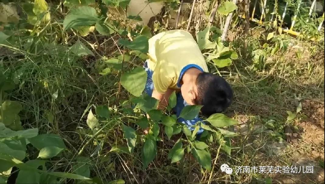 微信图片_20210908075202.jpg