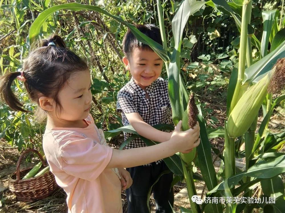 微信图片_20210908075150.jpg