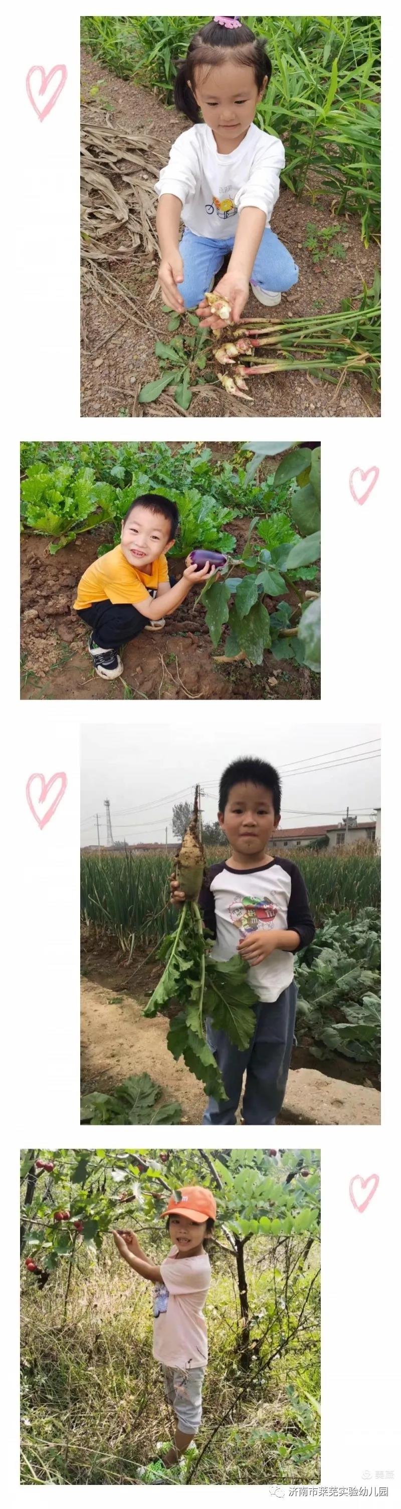 微信图片_20211008101636.jpg