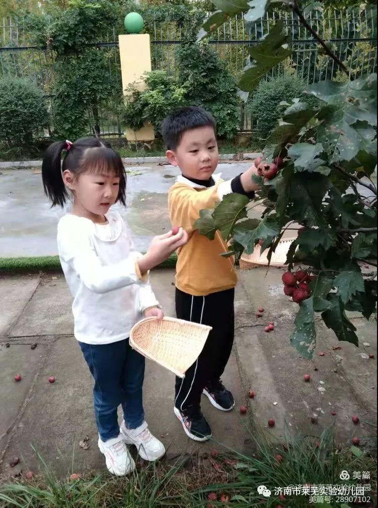 微信图片_20211009080527.jpg