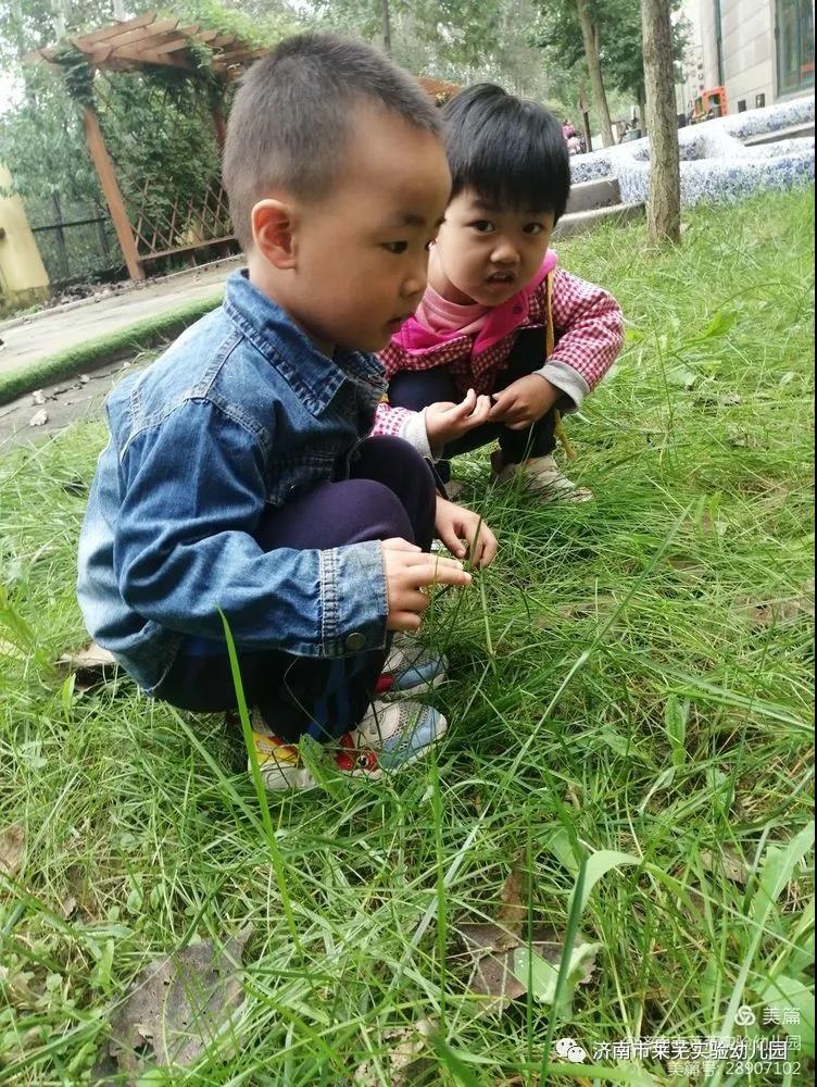 微信图片_20211009080519.jpg
