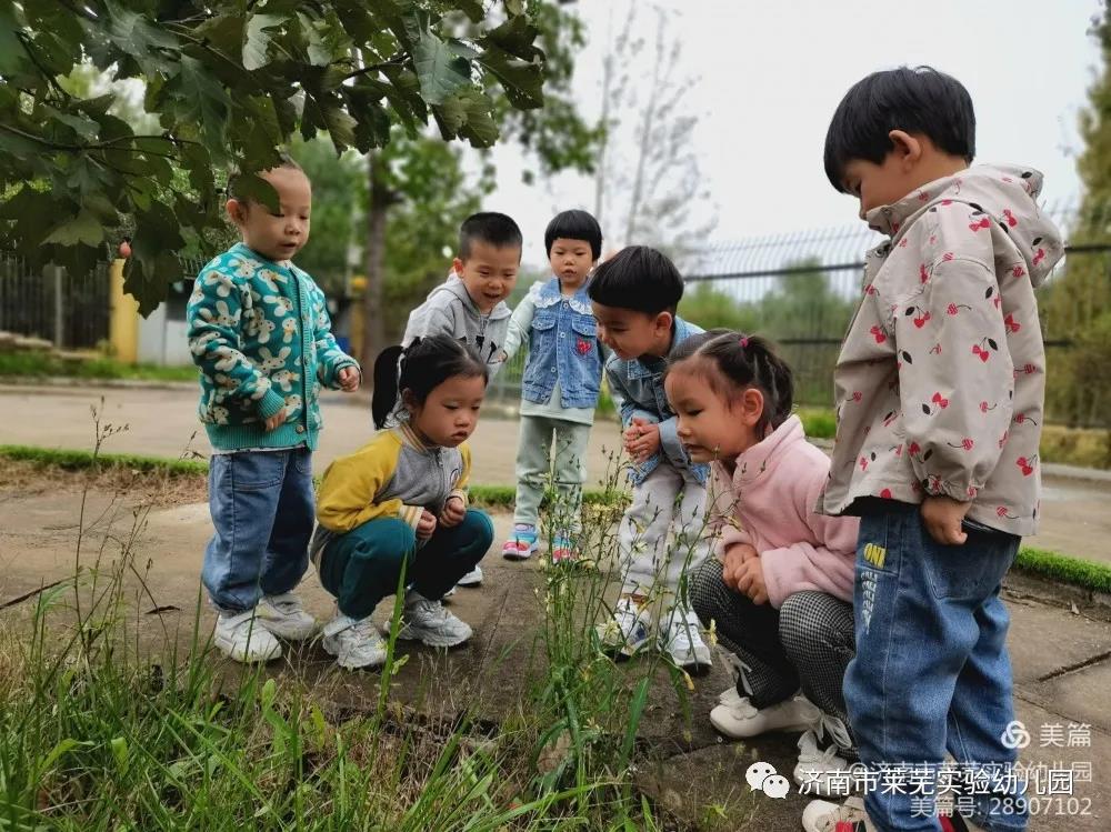 微信图片_20211009080513.jpg