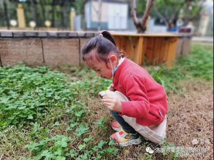 微信图片_20211009080522.jpg