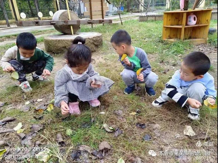 微信图片_20211009080503.jpg