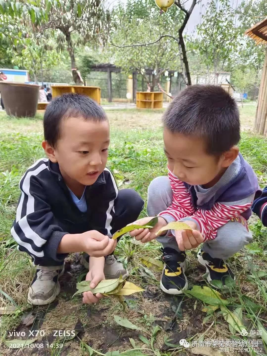微信图片_20211009080500.jpg