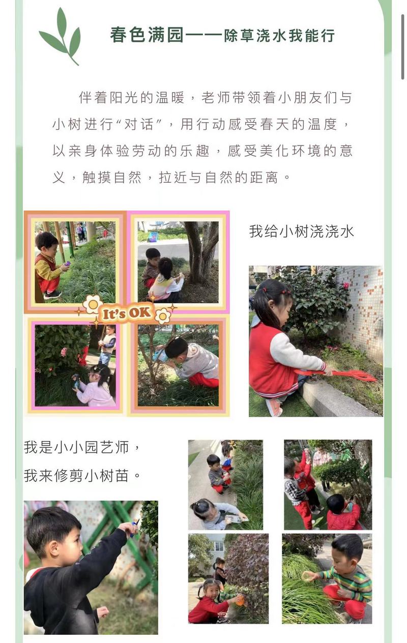 3dd259b8a6cef19540ee70736dab405.jpg