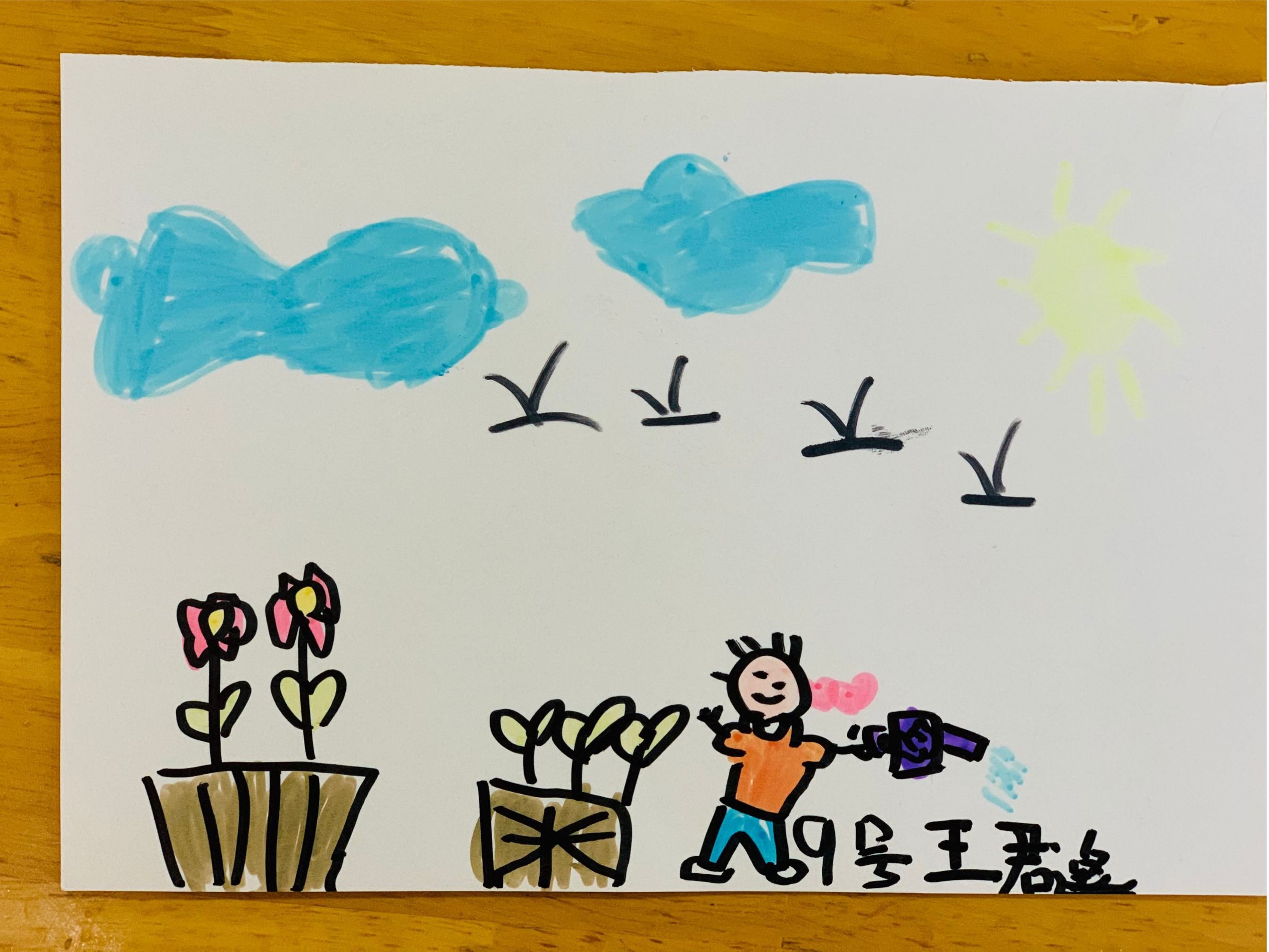 图片22.png 图片22.png