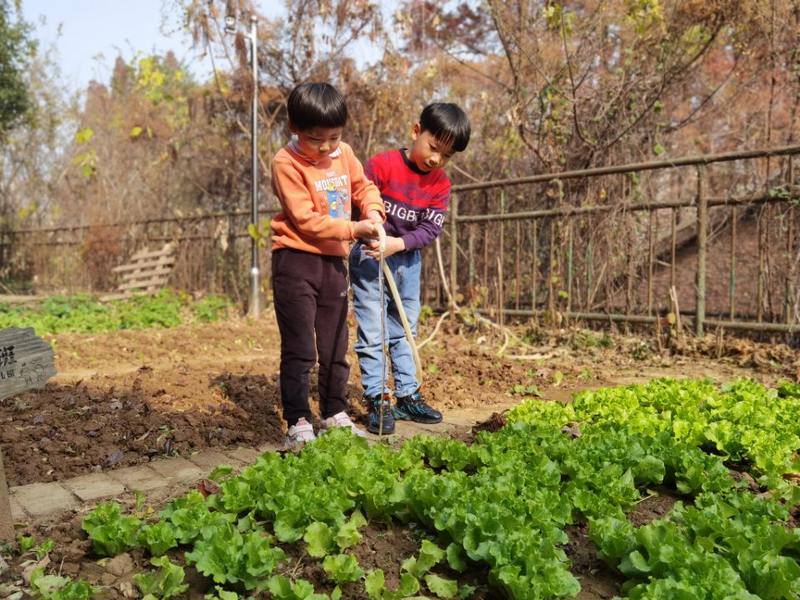 图片5.png 图片5.png